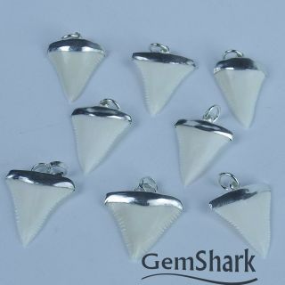 1.  2  Modern Great White Shark Tooth Necklace For Men Silver Cap GN30MM 3