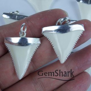 1.  2  Modern Great White Shark Tooth Necklace For Men Silver Cap GN30MM 4
