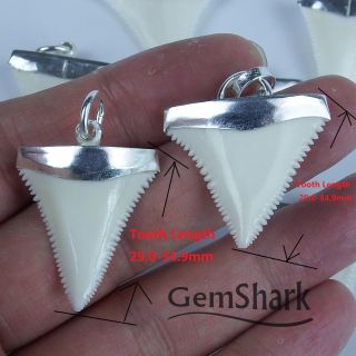 1.  2  Modern Great White Shark Tooth Necklace For Men Silver Cap GN30MM 5