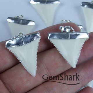 1.  2  Modern Great White Shark Tooth Necklace For Men Silver Cap GN30MM 6