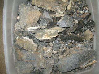 Precrushed Ore 10 Lb Lode Quartz Gold & Silver Mining Home Crushing Panning