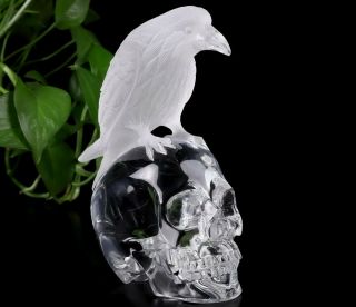 Huge 6.  7 " K9 Crystal Carved Crystal Skull With Raven Standing Sculpture