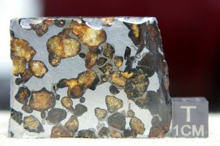 Sericho Pallasite Meteorite From Kenya Africa Habaswein 57.  4 Gram Part Slice