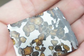 Sericho Pallasite Meteorite from Kenya Africa Habaswein 57.  4 gram part slice 2