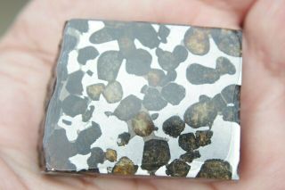 Sericho Pallasite Meteorite from Kenya Africa Habaswein 57.  4 gram part slice 3