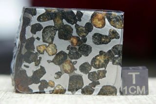 Sericho Pallasite Meteorite from Kenya Africa Habaswein 57.  4 gram part slice 4