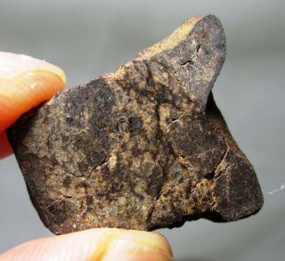 Marsland Meteorite Slice - 4.  3 Grams H5 Chondrite Nebraska