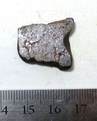 Marsland meteorite slice - 4.  3 grams H5 chondrite Nebraska 2