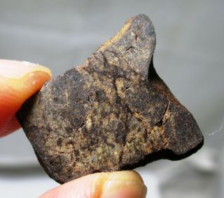 Marsland meteorite slice - 4.  3 grams H5 chondrite Nebraska 3