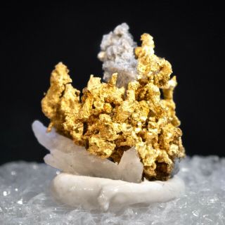 1.  2 Gram Crystalline Gold On Quartz - Belshazzar Mine,  Idaho