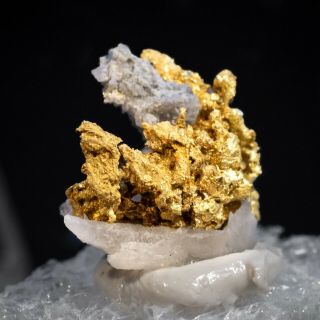 1.  2 Gram Crystalline GOLD on Quartz - Belshazzar Mine,  Idaho 2
