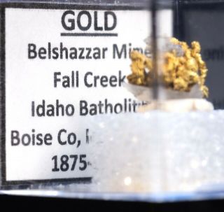 1.  2 Gram Crystalline GOLD on Quartz - Belshazzar Mine,  Idaho 4