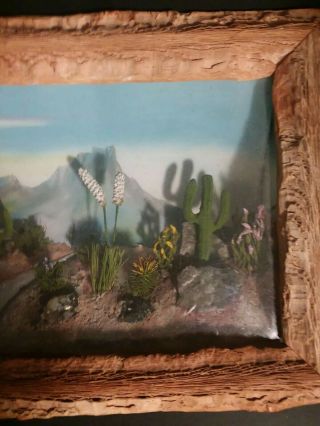 Large Vintage Diorama Southwestern Western Indian Arizona Desert Cacti Cactus 8