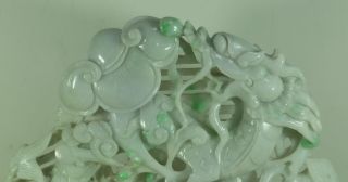 Cert ' d Untreated Green Nature jadeite Jade Sculpture statue dragon 龙 q75603Q 3