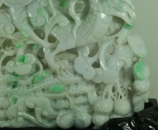 Cert ' d Untreated Green Nature jadeite Jade Sculpture statue dragon 龙 q75603Q 5