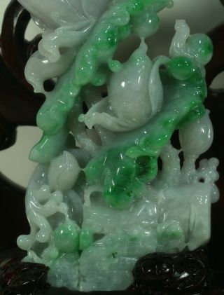 Cert ' d Untreated Green Nature jadeite Jade Sculpture Flower bird 花鸟 q75443Q5H 3