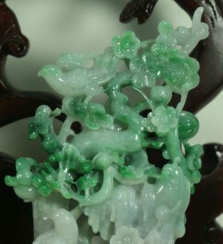 Cert ' d Untreated Green Nature jadeite Jade Sculpture Flower bird 花鸟 q75443Q5H 4