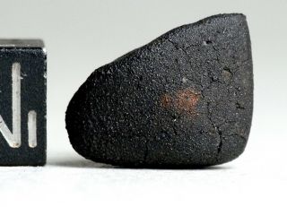 Meteorite Aguas Zarcas - Cm2 Carbonaceous Fine Crusted Individual Costa Rica