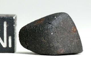 Meteorite AGUAS ZARCAS - CM2 carbonaceous fine crusted Individual Costa Rica 2