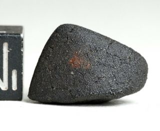 Meteorite AGUAS ZARCAS - CM2 carbonaceous fine crusted Individual Costa Rica 3