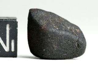 Meteorite AGUAS ZARCAS - CM2 carbonaceous fine crusted Individual Costa Rica 4