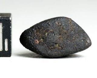 Meteorite AGUAS ZARCAS - CM2 carbonaceous fine crusted Individual Costa Rica 5