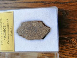Meteorite Kosice,  Observed Fall,  Full Slice 9 G