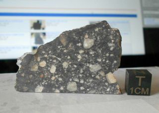 Meteorite Nwa 11273 (lunar) - 8.  0 G