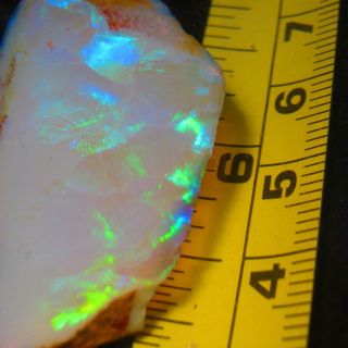 71ct Chunk Olympic Top Quality Rough Australian Opal Miners Parcel Lapidary