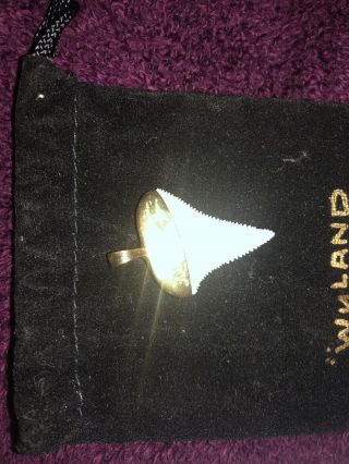 Great White Shark Tooth 14KT gold Bezel Pendant 4