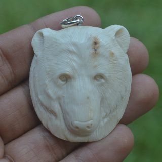 Bear Head Carving 45x40mm Pendant P3692 W/ Silver In Antler Hand Carved