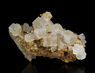 Cross - Zoned Halite Crystals On Matrix From Pepita Mine - Spain