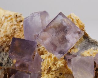 Purple Fluorite Crystals On Baryte Matrix From Tourirt - Morocco