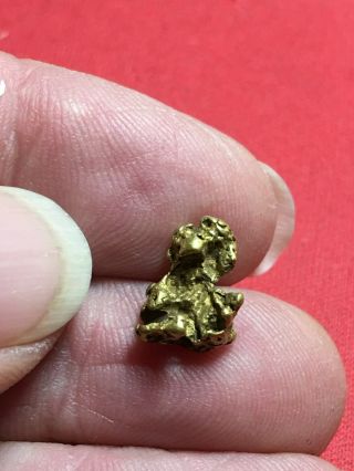 Natural Gold Nugget Specimen With Quartz Rock Bullion From Oregon 2.  60 Gram A72