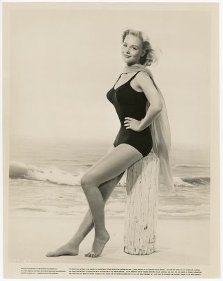 Mid - Century Bathing Beauty Diane Mcbain Vintage 1960s Breezy Pin - Up Photograph