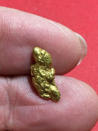 Natural Gold Nugget Specimen With Quartz Rock Bullion From Oregon 2.  20 Gram A73