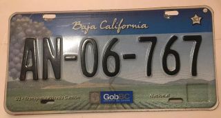 Baja California Norte License Plate Tag Mexico Blue Grapes
