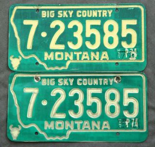 Montana 1973 - 1974.  Pair.  License Plate.