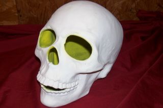 Life Size Skull White Ceramic Human Skelton Head Display Scary Halloween Goth