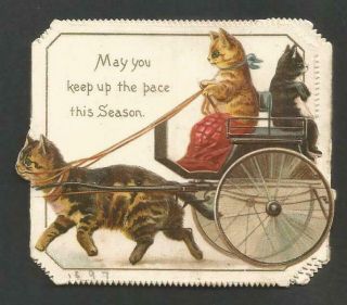 L66 - Anthropomorphic Cats Riding A In Trap - Victorian Folding Xmas Card - 1897