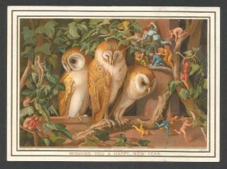 L59 - Pixies And Owls - Prize Design - Raphael Tuck - Victorian Year Card