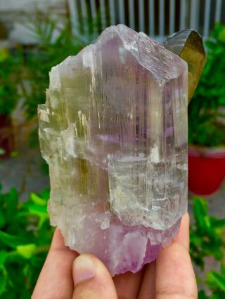 Wow 1711 C.  T Top Quality Damage Terminated Quartz On Pink Kunzite Crystal