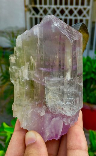 WoW 1711 C.  T Top Quality Damage Terminated Quartz On Pink Kunzite Crystal 2