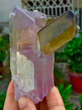 WoW 1711 C.  T Top Quality Damage Terminated Quartz On Pink Kunzite Crystal 3