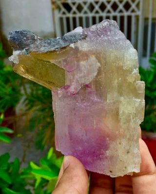 WoW 1711 C.  T Top Quality Damage Terminated Quartz On Pink Kunzite Crystal 4