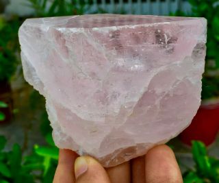 1608 C.  T Top Class Damage Terminated Pink Color Morganite Crystal
