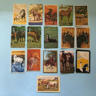 P.  16 X Vintage Playing Swap Cards Horses Blank Backs Coles ?