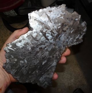 895 Gm Campo Del Cielo Etched Meteorite Slab