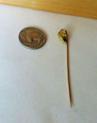 3.  5 Gram Gold Nugget Stickpin From Hughes River,  Virginia,  Ex: Mendel Peterson