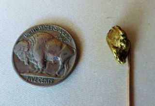 3.  5 Gram Gold Nugget Stickpin From Hughes River,  Virginia,  Ex: Mendel Peterson 2